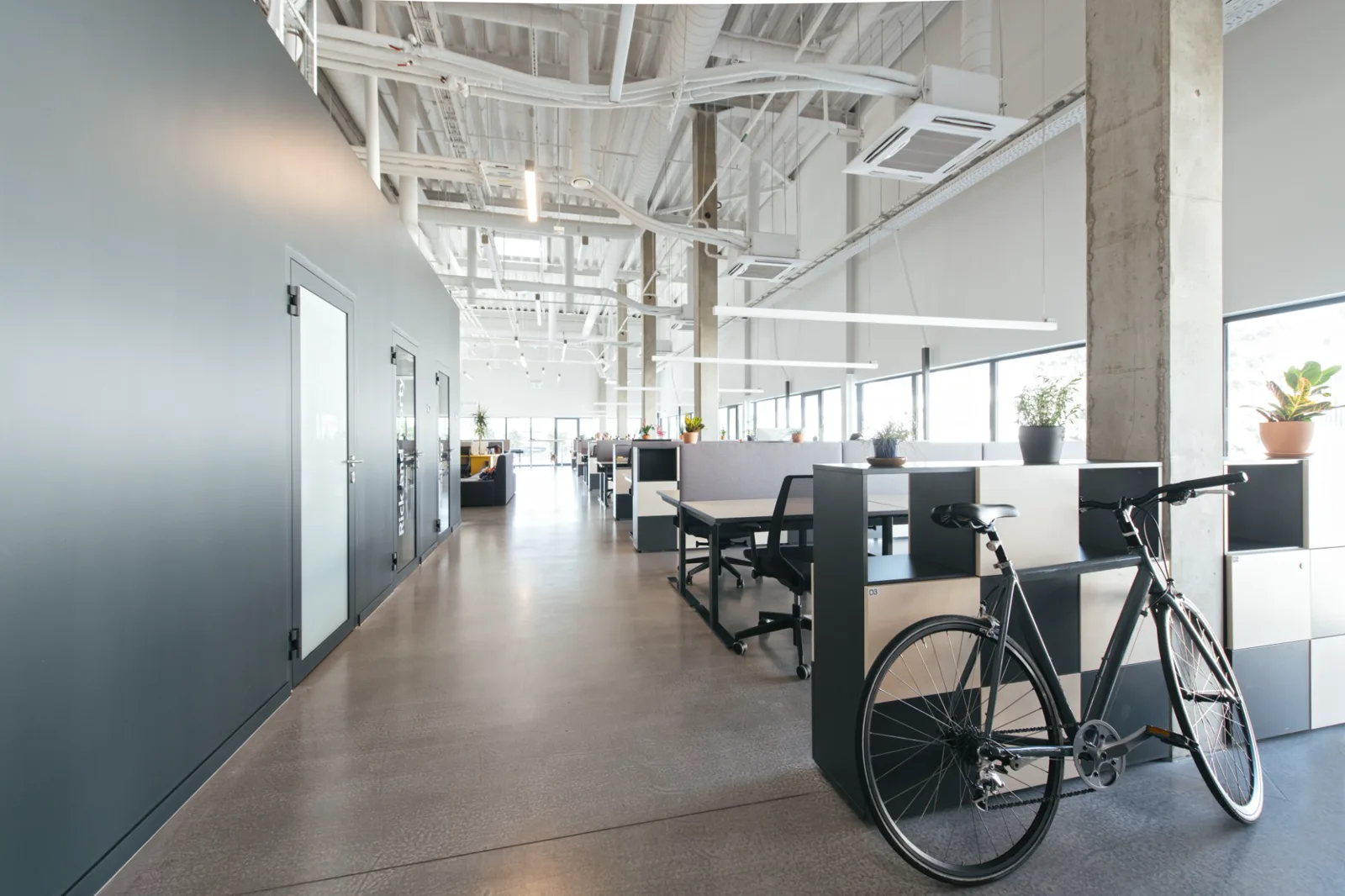 Open office with a dark gray painted feature wall, white ceilings and polished concrete floors